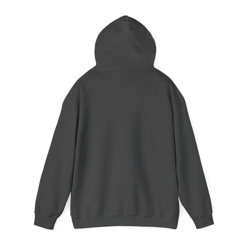 You Can Hate Me But You Can't Stop Me - Hooded Sweatshirt w/Philippians 4:13