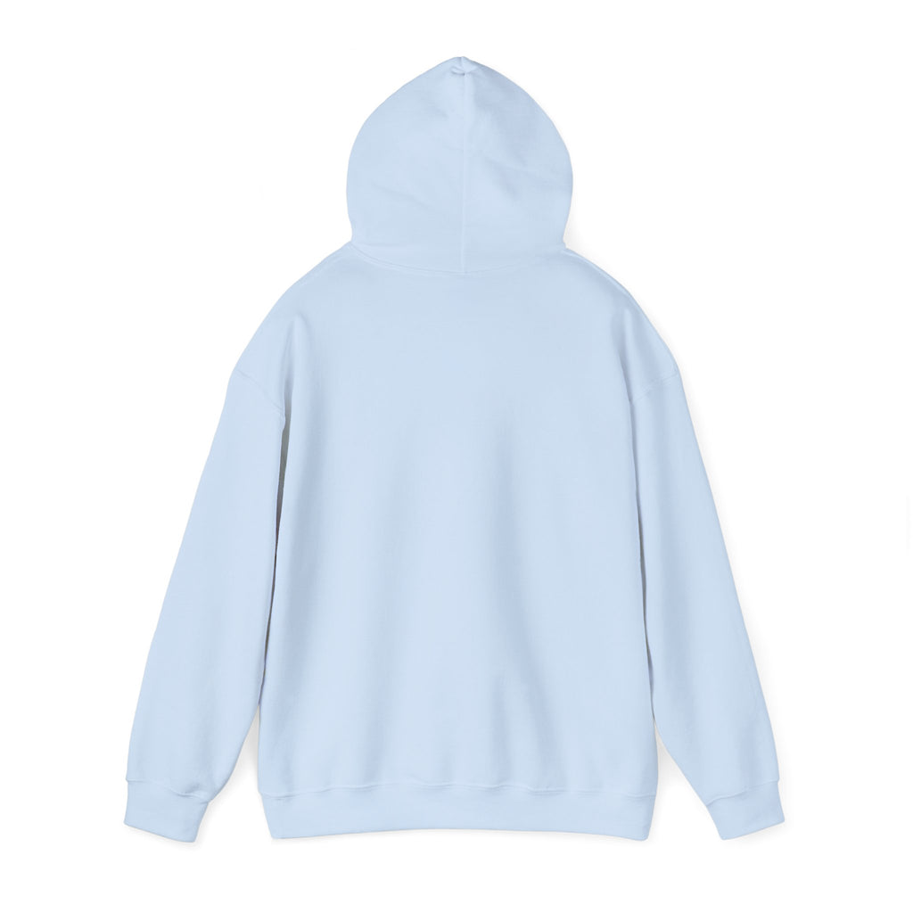 You Can Hate Me But You Can't Stop Me - Hooded Sweatshirt w/Philippians 4:13