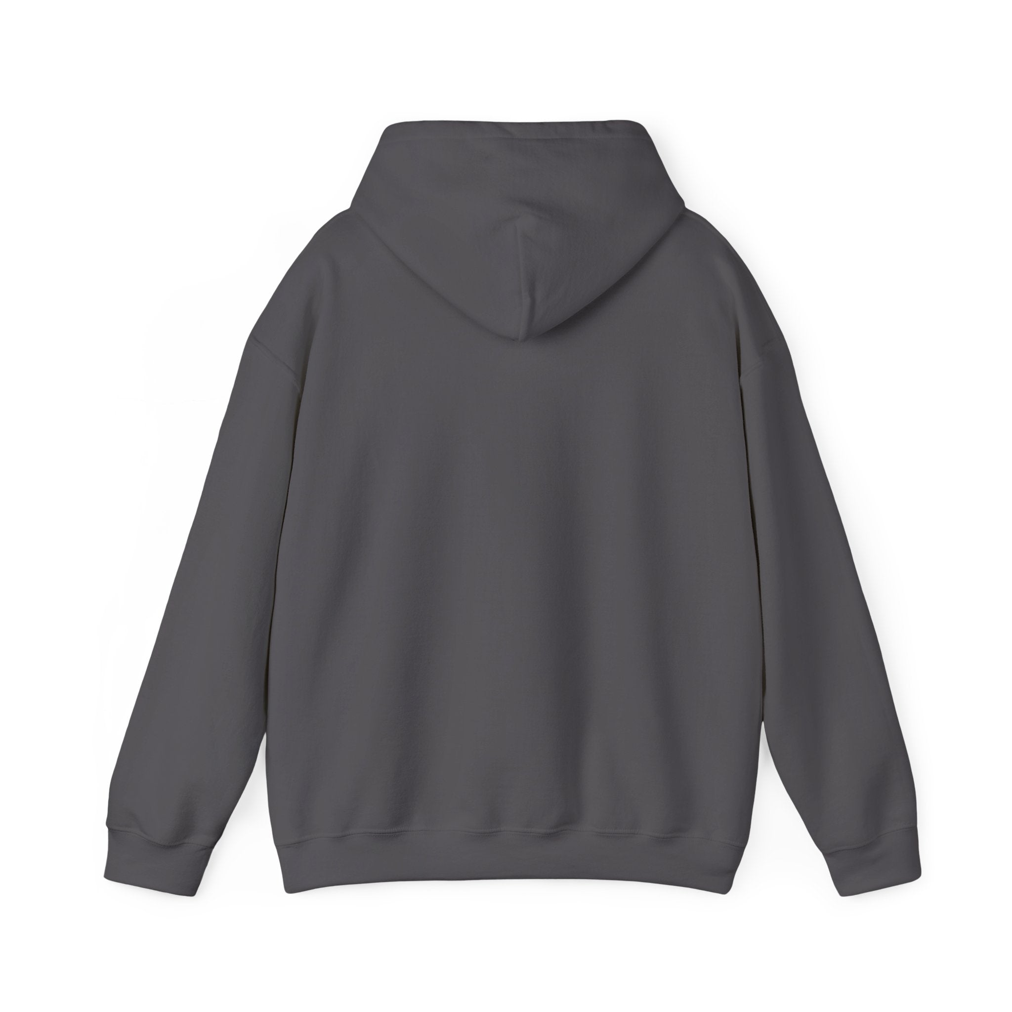 You Can Hate Me But You Can't Stop Me - Hooded Sweatshirt w/Philippians 4:13