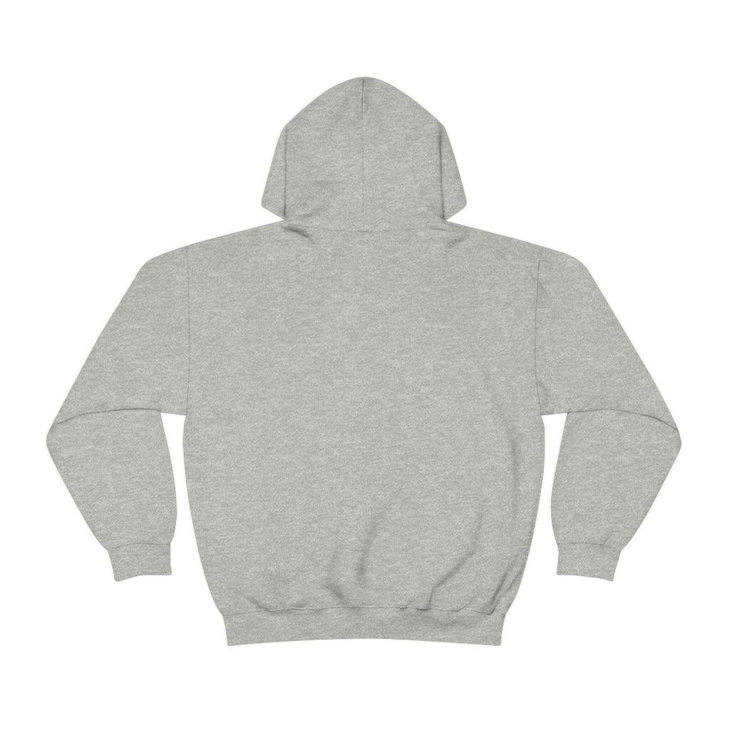You Can Hate Me But You Can't Stop Me - Unisex Heavy Blend Hooded Sweatshirt